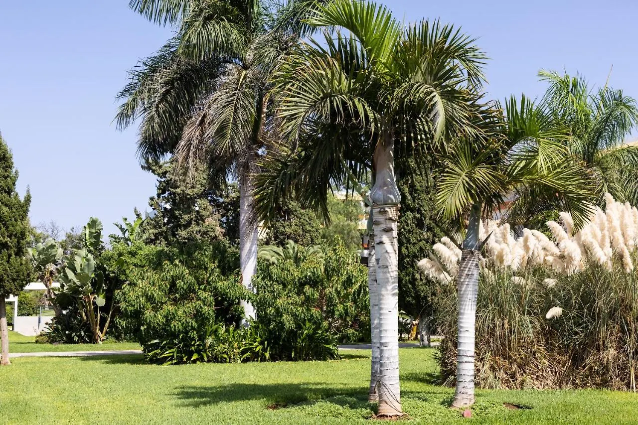 Listen The Silence - 355 Arona  Apartment Arona (Tenerife)